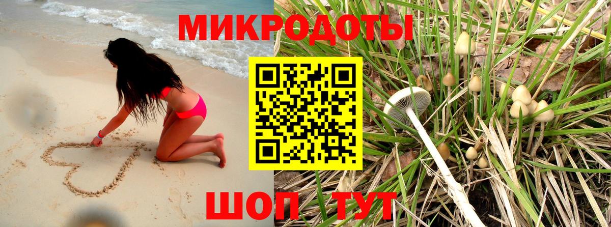 Кропоткин  дарнет шоп  Псилоцибиновые грибы Psilocybine cubensis  Вход с VPN  Псилоцибиновые грибы Psilocybe 
